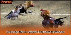 da ga truc tiep c3 nam bat co hoi nhan thuong cao 300x150 1